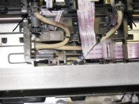 imprimante HP6600